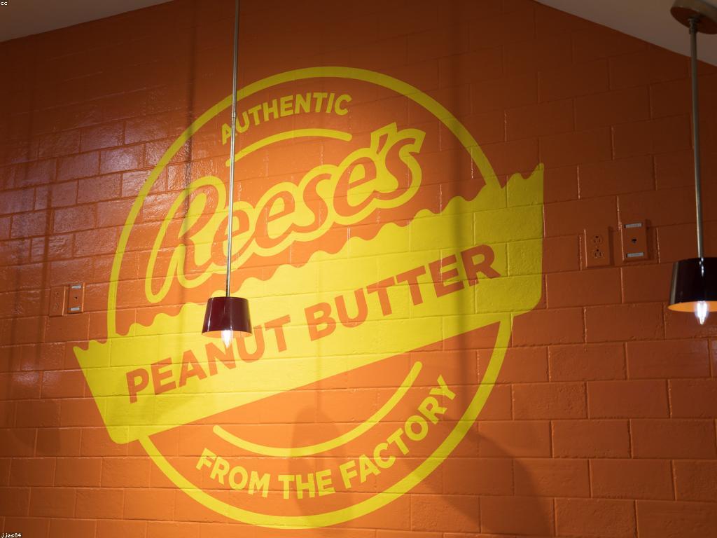 ការយល់ដឹងអំពីស្ឌុប