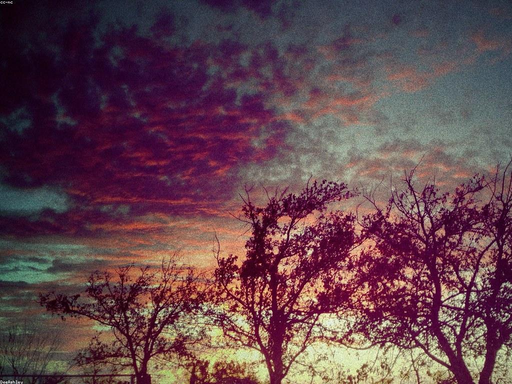 ការយល់ដឹងអំពីស្ឌុប