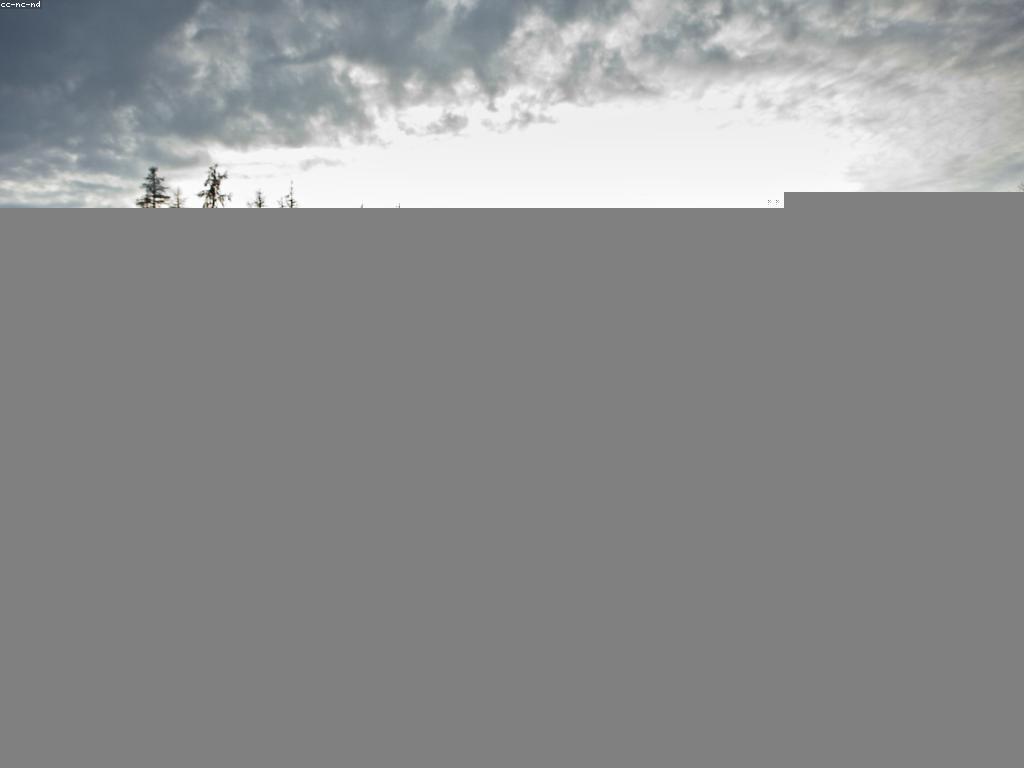 យុទ្ធសាស្ត្រសម្រាប់ការបង្កើនDisciplineក្នុងការលេងស្ឌុប