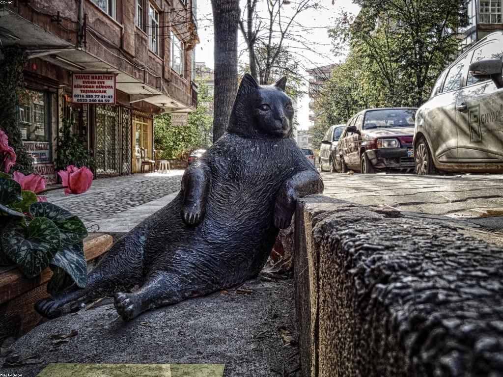 យុទ្ធសាស្ត្រសម្រាប់ការភ្នាល់លើស្ឌុបបែបថ្មី